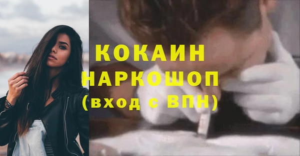 ешки Алексин