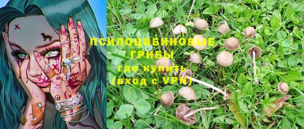 мдма Белая Холуница