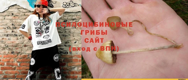 PSILOCYBIN Арсеньев