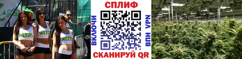 Канабис THC 21% наркотики mega как войти Грязи